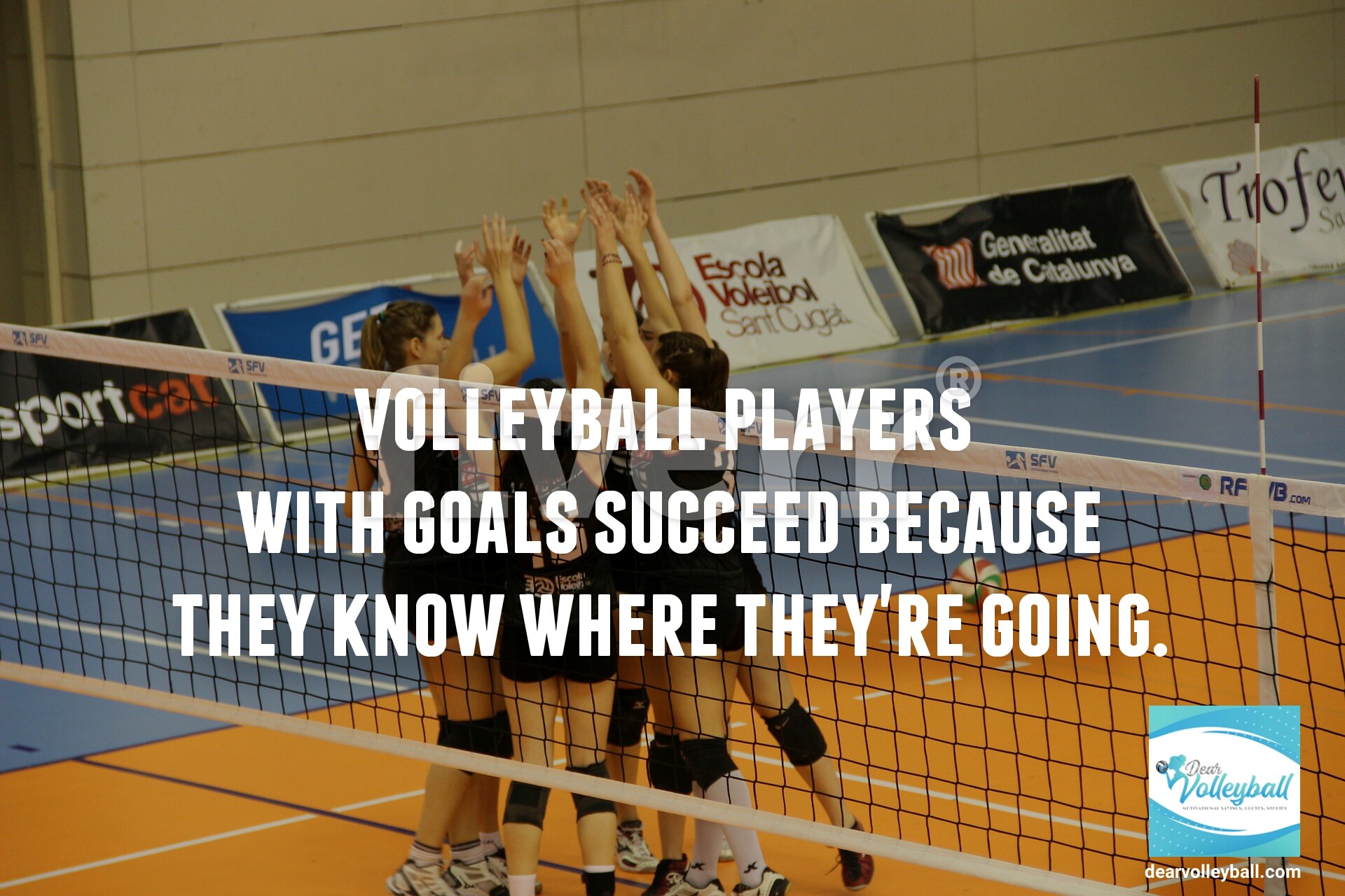 24 Motivational Volleyball Quotes and Inspirational Volleyball Images