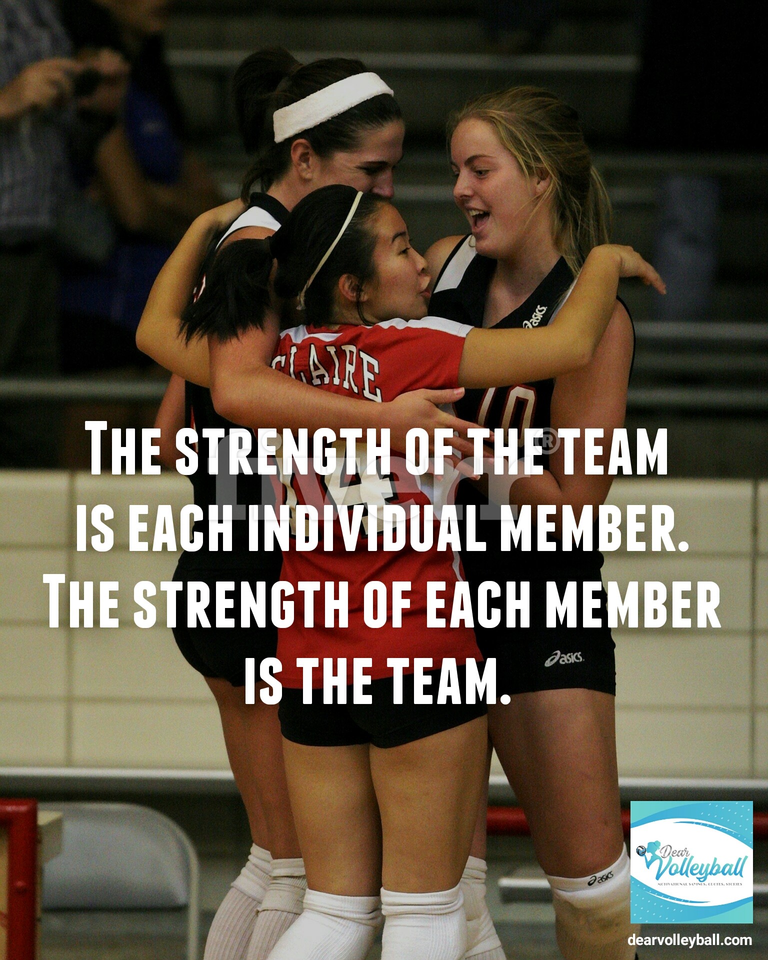 Volleyball Quotes For Teams
